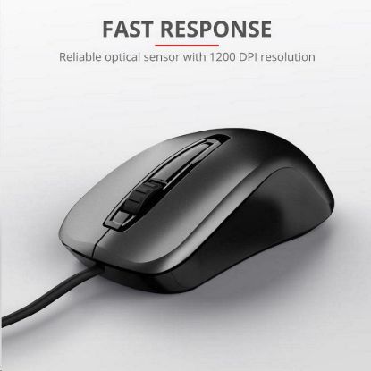 Obrázek TRUST myš Carve USB Mouse