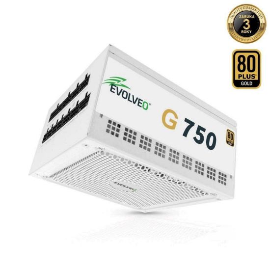 Obrázek EVOLVEO G750, zdroj 750 W, 80+ GOLD, ATX 3.1, aPFC, 140 mm ventilátor, plně modulární, záruka 3 roky, bílý