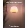 Obrázek Govee Lantern RGBICWW stojací lampa, Matter