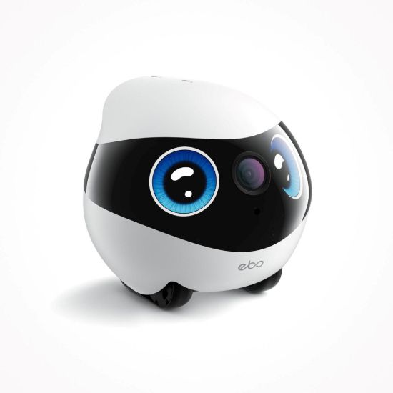 Obrázek Enabot EBO Mini Robotický společník