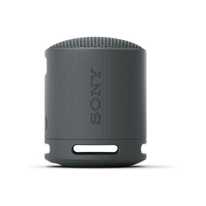 Obrázek SONY speaker SRSXB100B.CE7 black