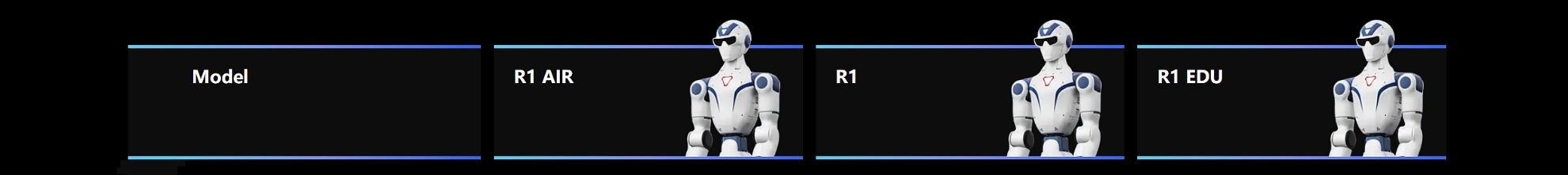 robotizace