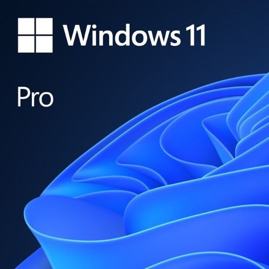 Obrázek PROMO 10PCK Windows 11 Pro 64Bit OEM + SSD 1 TB externí disk, USB-C