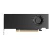 Obrázek NVIDIA 900-5G195-2551-000 Grafická karta RTX PRO 2000 Blackwell 16 GB GDDR7