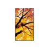 Obrázek Sharp 60006059 PN-M982 98" M-Series Large Format Display UHD 550cd/m2 D-LED backlight 24/7