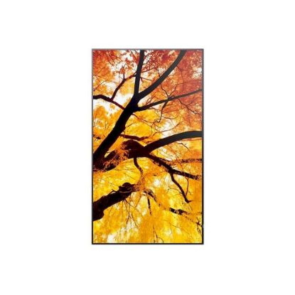 Obrázek Sharp 60006059 PN-M982 98" M-Series Large Format Display UHD 550cd/m2 D-LED backlight 24/7