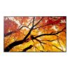 Obrázek Sharp 60006059 PN-M982 98" M-Series Large Format Display UHD 550cd/m2 D-LED backlight 24/7